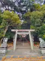 熊野神社(亀首町)の鳥居