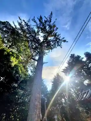 滑川神社 - 仕事と子どもの守り神(福島県)