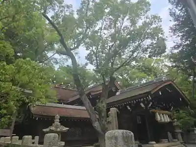 伊弉諾神宮(兵庫県)