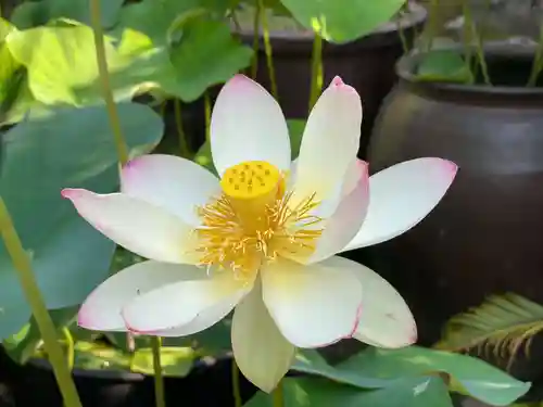 伊勢の国 四天王寺(三重県)