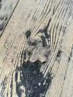 本願寺(西本願寺)(京都府)