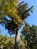 普門寺(切り絵御朱印発祥の寺)の自然