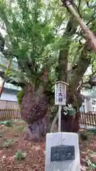 富知六所浅間神社(静岡県)