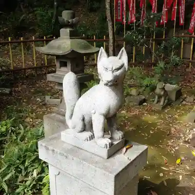 円山随身稲荷大明神の狛犬