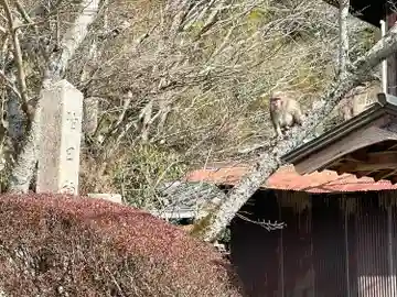 油日神社(滋賀県)
