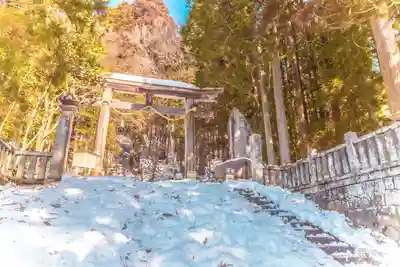 戸隠神社宝光社の鳥居