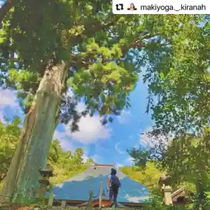 普門寺(切り絵御朱印発祥の寺)の自然(2021年10月05日(火) 21時02分38秒投稿)