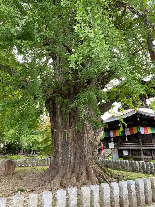 鑁阿寺(栃木県)