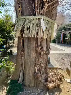 筑土八幡神社(東京都)