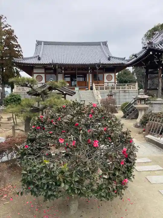 達磨寺の本殿・本堂