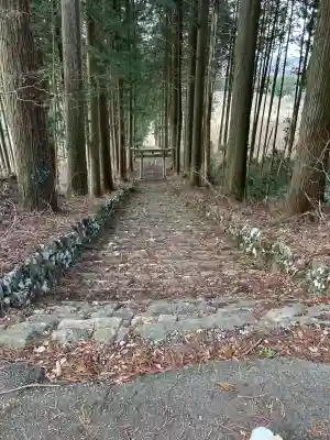 荒戸神社の{uncategorized: "未分類", other: "その他", undefined: "問題あり", building: "その他建物", grave: "お墓", sacred_gate: "鳥居", guardian: "狛犬", statue: "像", buddha: "仏像", history: "歴史", nature: "自然", garden: "庭園", animal: "動物", pagoda: "塔", temizu: "手水舎", mountain_gate: "山門・神門", sanctuary: "本殿・本堂", subordinate: "末社・摂社", art: "芸術", scenery: "景色", jizo: "地蔵", ema: "絵馬", goshuin: "御朱印", omikuji: "おみくじ", items: "授与品その他", amulet: "お守り", goshuincho: "御朱印帳", eats: "食事", festival: "お祭り", votive_dance: "神楽", shichigosan: "七五三参", wedding: "結婚式", experience: "体験その他", initially: "初詣", around: "周辺", anti_infection: "感染症対策"}