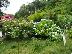 思金神社の自然