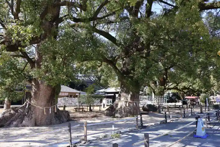 諫早神社(九州総守護 四面宮)(長崎県)