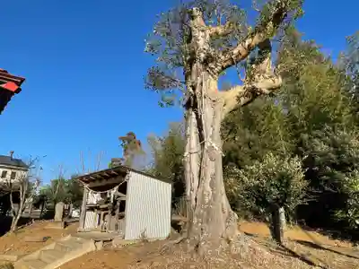 天照神社(千葉県)