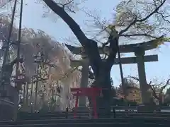 足羽神社(福井県)