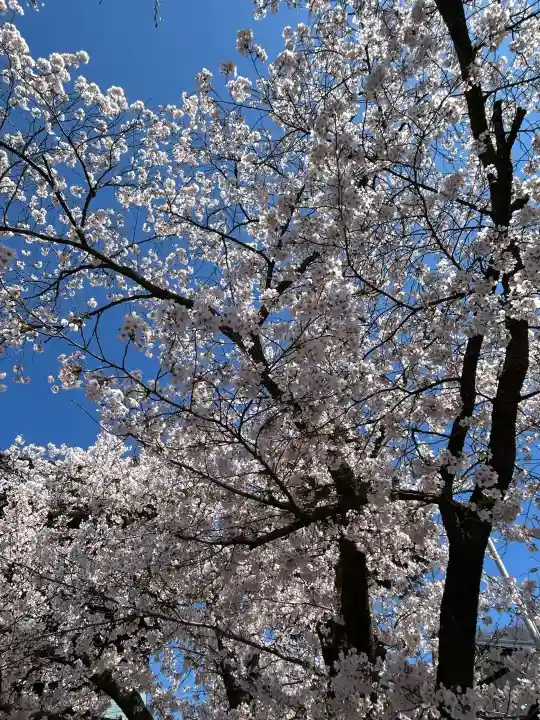 正麟寺の{uncategorized: "未分類", other: "その他", undefined: "問題あり", building: "その他建物", grave: "お墓", sacred_gate: "鳥居", guardian: "狛犬", statue: "像", buddha: "仏像", history: "歴史", nature: "自然", garden: "庭園", animal: "動物", pagoda: "塔", temizu: "手水舎", mountain_gate: "山門・神門", sanctuary: "本殿・本堂", subordinate: "末社・摂社", art: "芸術", scenery: "景色", jizo: "地蔵", ema: "絵馬", goshuin: "御朱印", omikuji: "おみくじ", items: "授与品その他", amulet: "お守り", goshuincho: "御朱印帳", eats: "食事", festival: "お祭り", votive_dance: "神楽", shichigosan: "七五三参", wedding: "結婚式", experience: "体験その他", initially: "初詣", around: "周辺", anti_infection: "感染症対策"}