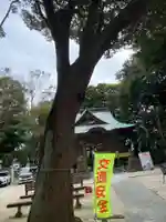 堀出神社(茨城県)