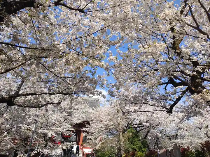 浄心寺(東京都)