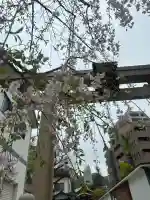 二宮神社の{uncategorized: "未分類", other: "その他", undefined: "問題あり", building: "その他建物", grave: "お墓", sacred_gate: "鳥居", guardian: "狛犬", statue: "像", buddha: "仏像", history: "歴史", nature: "自然", garden: "庭園", animal: "動物", pagoda: "塔", temizu: "手水舎", mountain_gate: "山門・神門", sanctuary: "本殿・本堂", subordinate: "末社・摂社", art: "芸術", scenery: "景色", jizo: "地蔵", ema: "絵馬", goshuin: "御朱印", omikuji: "おみくじ", items: "授与品その他", amulet: "お守り", goshuincho: "御朱印帳", eats: "食事", festival: "お祭り", votive_dance: "神楽", shichigosan: "七五三参", wedding: "結婚式", experience: "体験その他", initially: "初詣", around: "周辺", anti_infection: "感染症対策"}