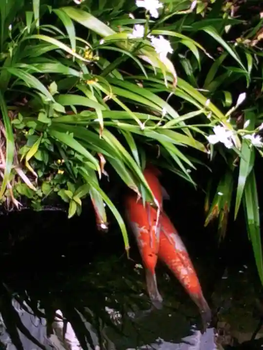 東光寺別院桜ヶ池不動院(東京都)