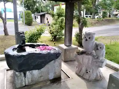 市来知神社の手水舎