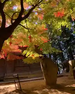 滑川神社 - 仕事と子どもの守り神の景色(2023年11月16日(木) 22時08分54秒投稿)