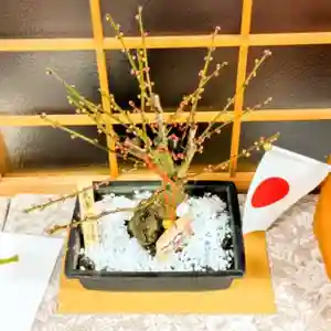 彌彦神社 (伊夜日子神社)の芸術(2025年01月24日(金) 10時41分04秒投稿)