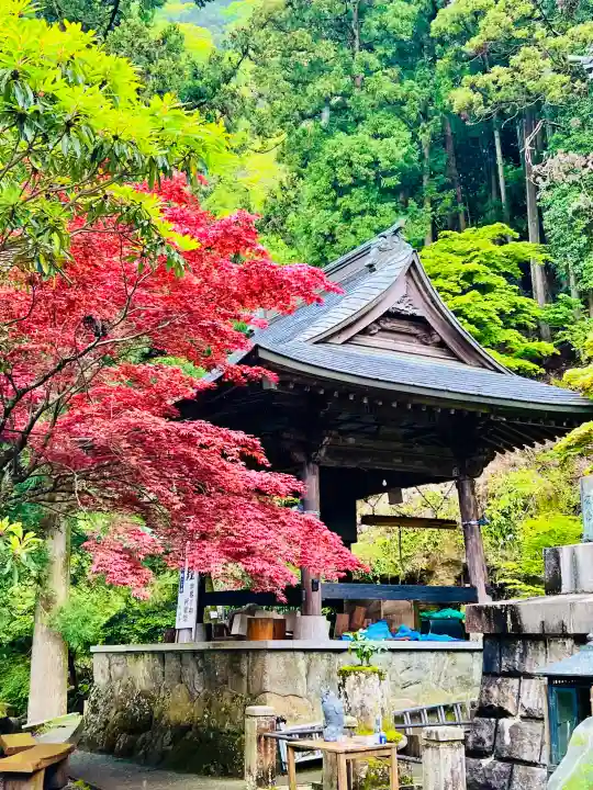 大山寺(神奈川県)