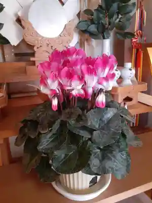 伏木香取神社(茨城県)