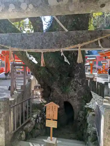 熊野那智大社(和歌山県)