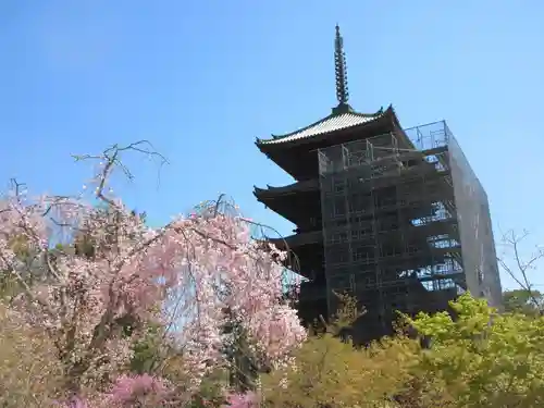 仁和寺の塔