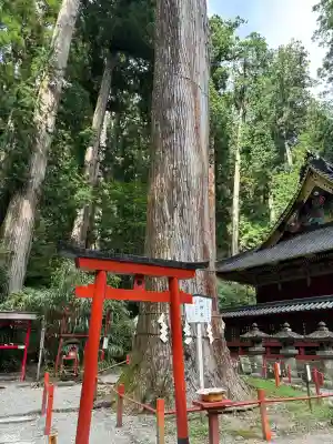 日光二荒山神社(栃木県)