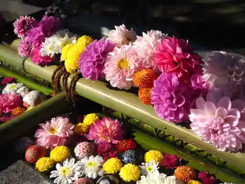 今市報徳二宮神社(栃木県)