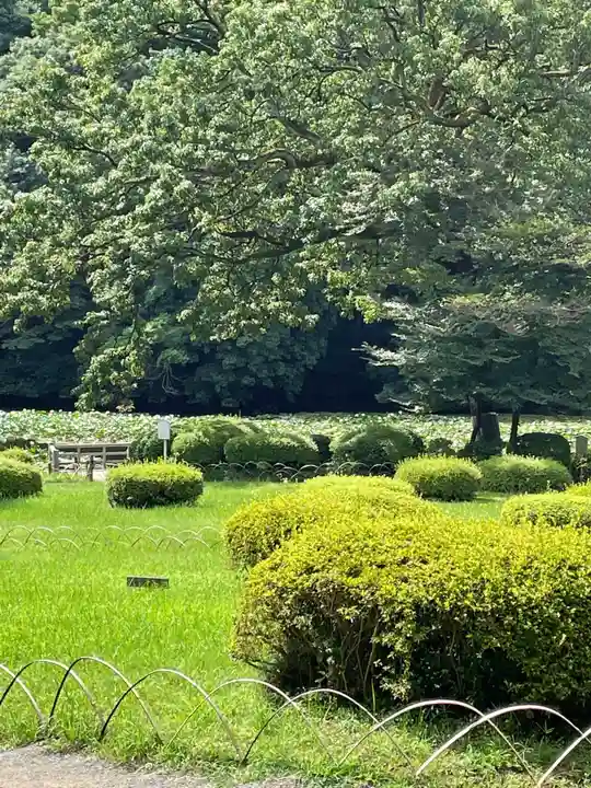 明治神宮(東京都)