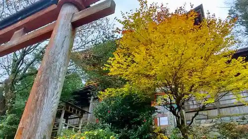 吉野水分神社（吉野町）の自然