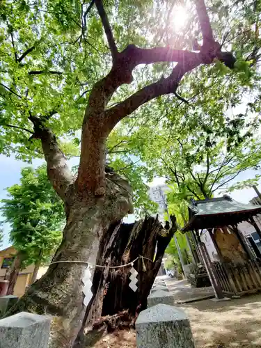 阿邪訶根神社の庭園