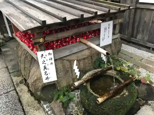 市比賣神社(京都府)