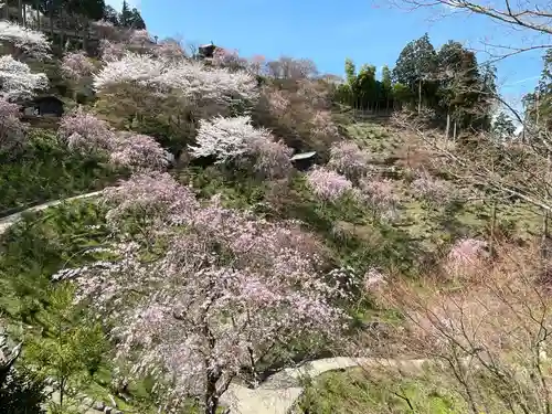 善峯寺(京都府)