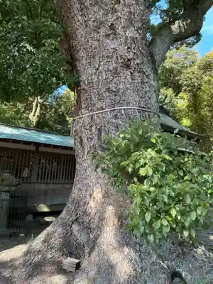 伊達神社(和歌山県)