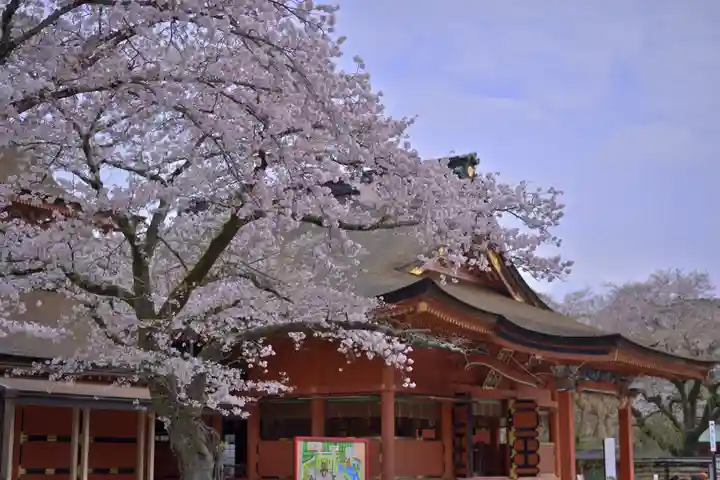 富士山本宮浅間大社(静岡県)