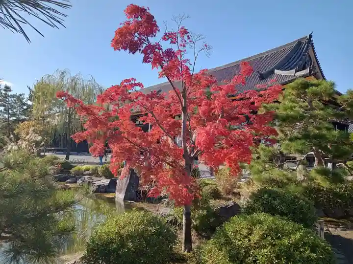 蓮華王院(三十三間堂)(京都府)