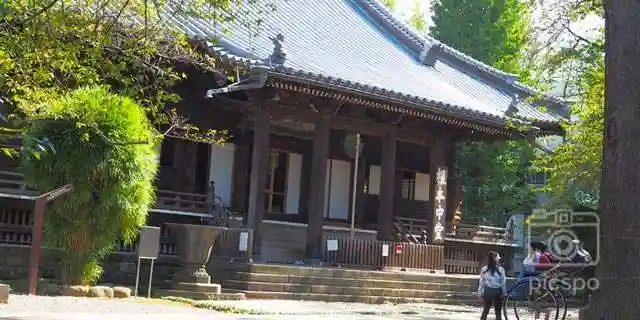 寛永寺(根本中堂)の本殿・本堂