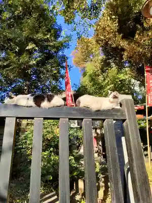 威光稲荷堂(東京都)