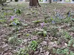 新十津川神社(北海道)