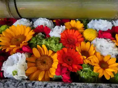 富岡八幡宮の手水舎