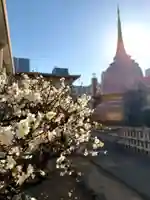 福王山 慈眼寺(東京都)