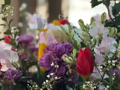 富知六所浅間神社の自然