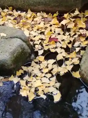 師岡熊野神社(神奈川県)