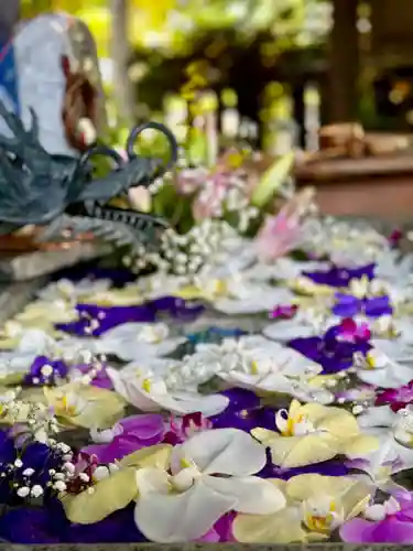 札幌諏訪神社の手水舎