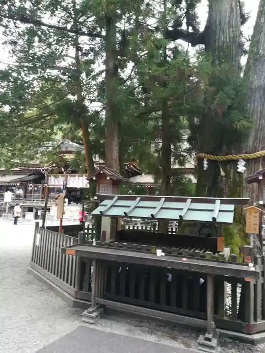 大神神社の自然